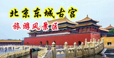 骚逼熟女操鸡巴视频中国北京-东城古宫旅游风景区